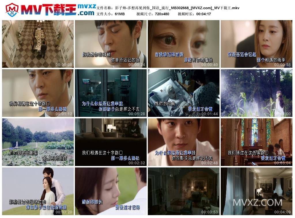 彭子帅-多想再见到你_国语_流行_MB302668